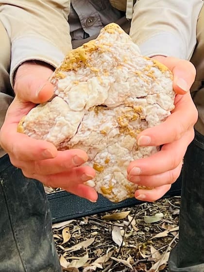 La piedra posee 83 onzas de oro