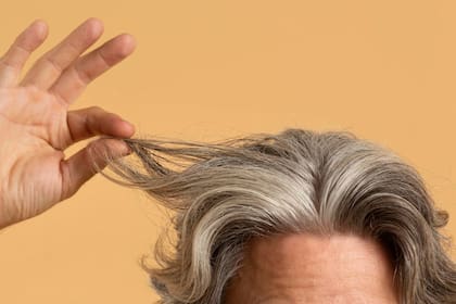 La piel es el sitio más grande y rico para la producción de hormonas, además de las glándulas endocrinas clásicas