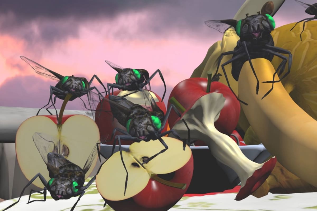 La piel es una fruta que se pela sola