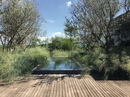 La pileta-estanque está revestida en un porcelanato símil piedra y rodeada de la vegetación nativa de la zona.