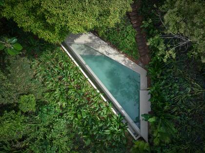 La pileta infinita se esconde entre la vegetación, siguiendo la forma natural de la ladera.