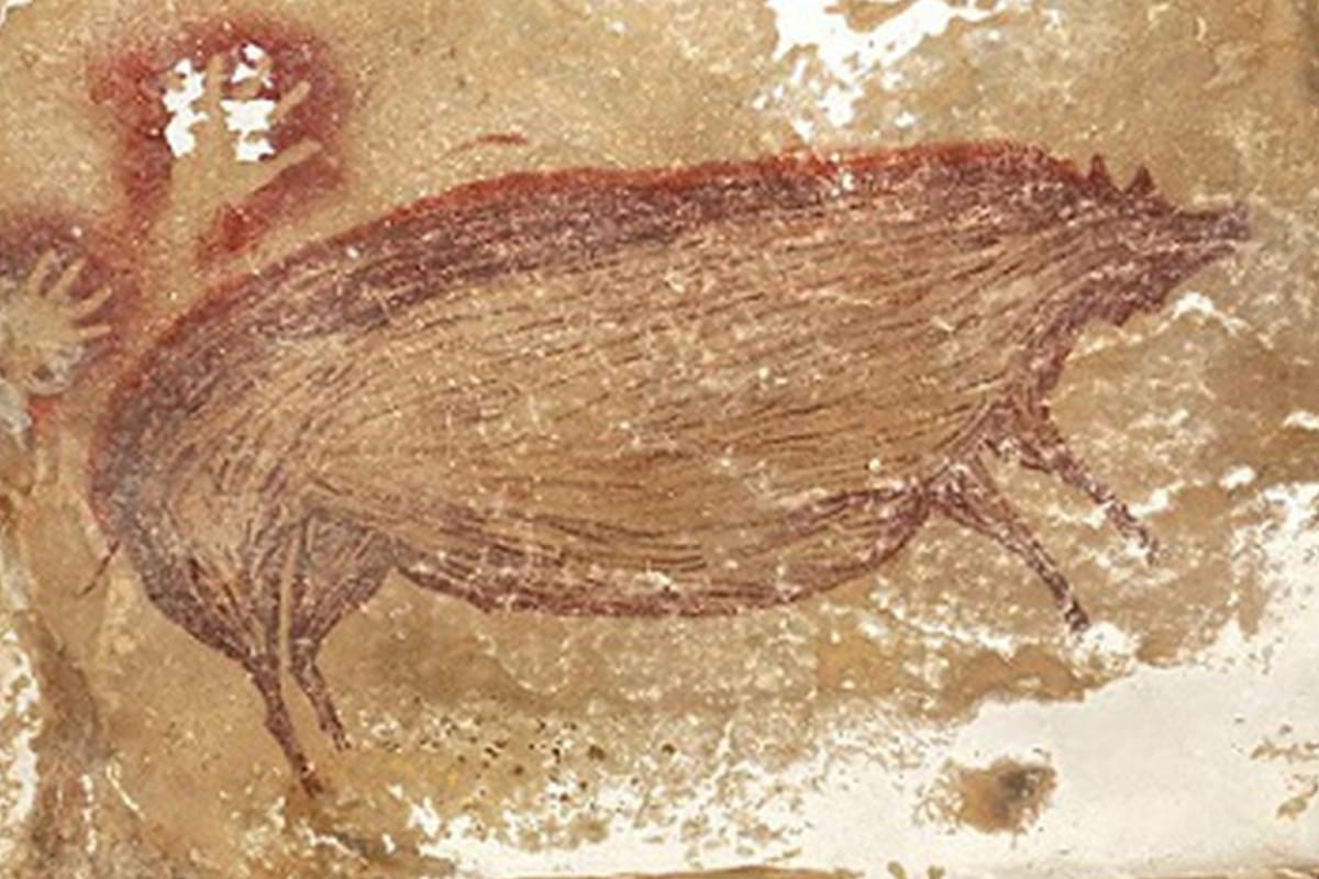 La pintura más antigua conocida en el arte prehistórico, que muestra a un cerdo verrugoso, tiene al menos 45.500 años de antigüedad