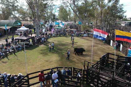 La pista central del predio de la Sociedad Rural del Chaco