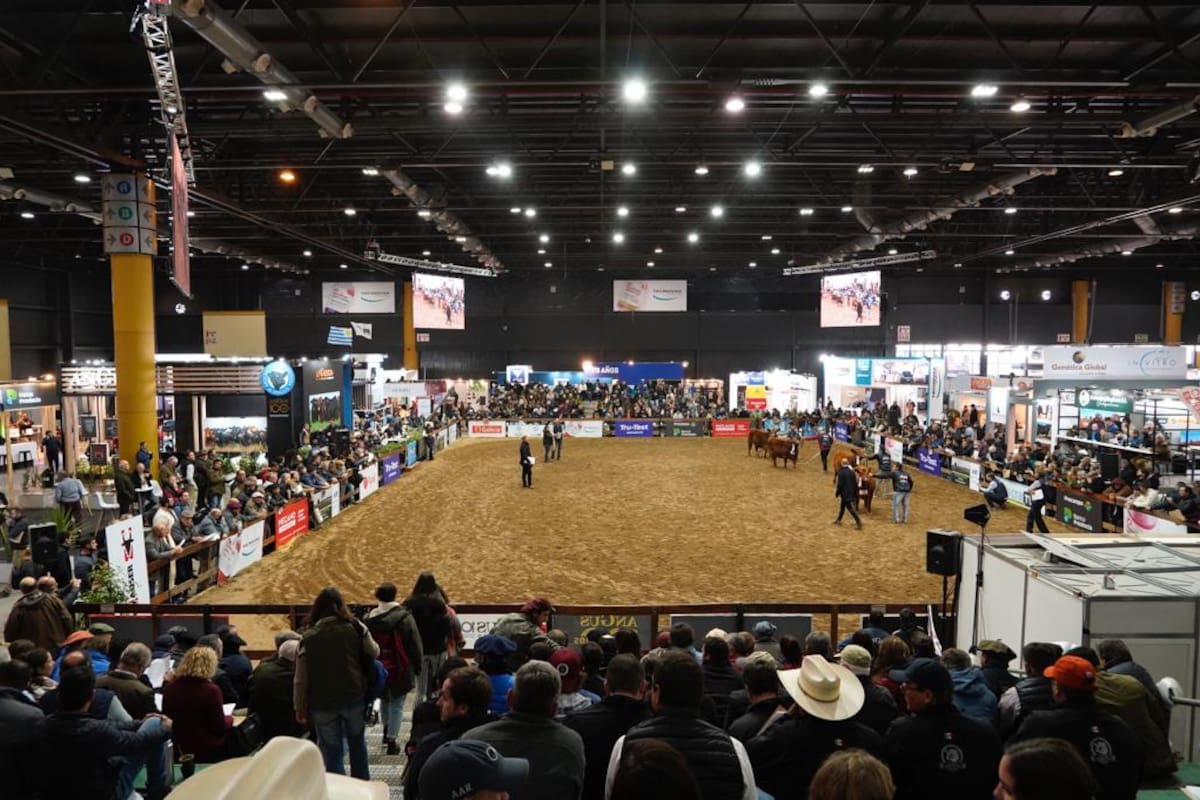 La pista preparada en Palermo para la jura, a pleno