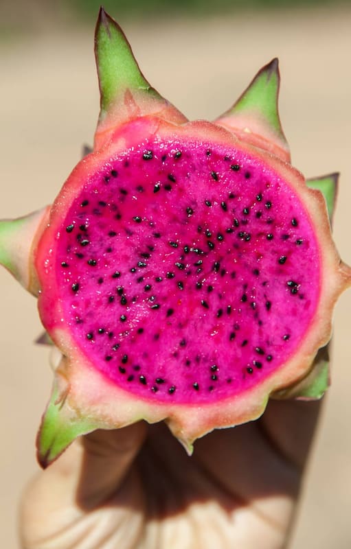 La pitaya es fucsia por dentro.