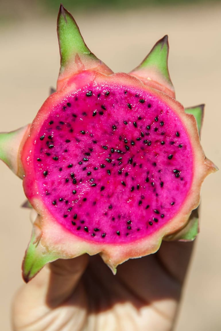 La pitaya es fucsia por dentro.