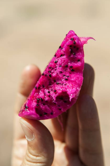 La pitaya es una fruta con propiedades antioxidantes.