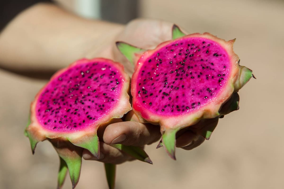 La pitaya es fucsia por dentro.
