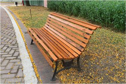 La placa conmemorativa en un banco de plaza que se volvió viral por su insólito mensaje