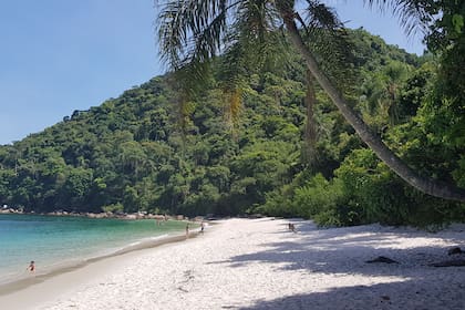 La plamera más famosa de Angra, en la Praia do Dentista