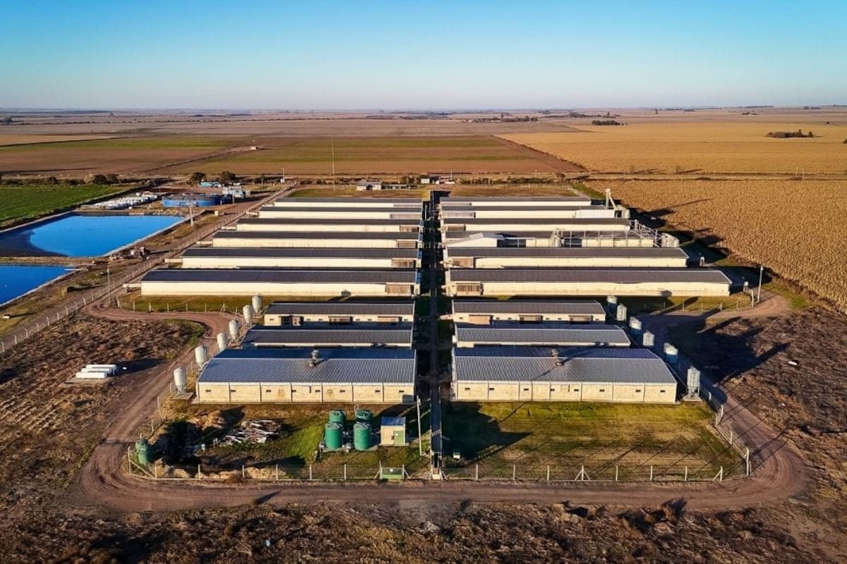 La planta 3C Biogás SA es la primera del país en certificar créditos de carbono bajo el Estándar CBA