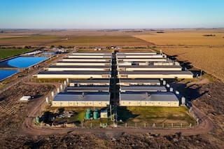 Córdoba emitió sus primeros créditos de carbono bajo una certificación propia y el Senado se encamina a una regulación nacional