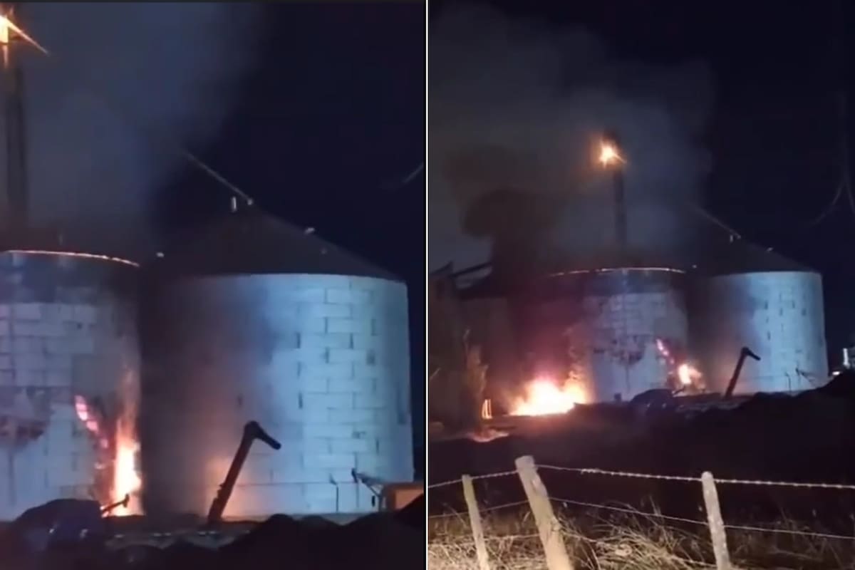 La planta de acopio del Grupo Los Grobo tenía girasol en el interior