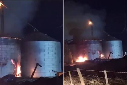 La planta de acopio del Grupo Los Grobo tenía girasol en el interior