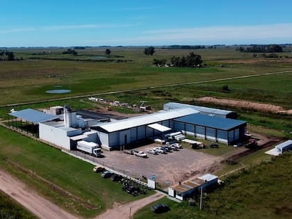 La planta de American Meat en Cacharí, provincia de Buenos Aires