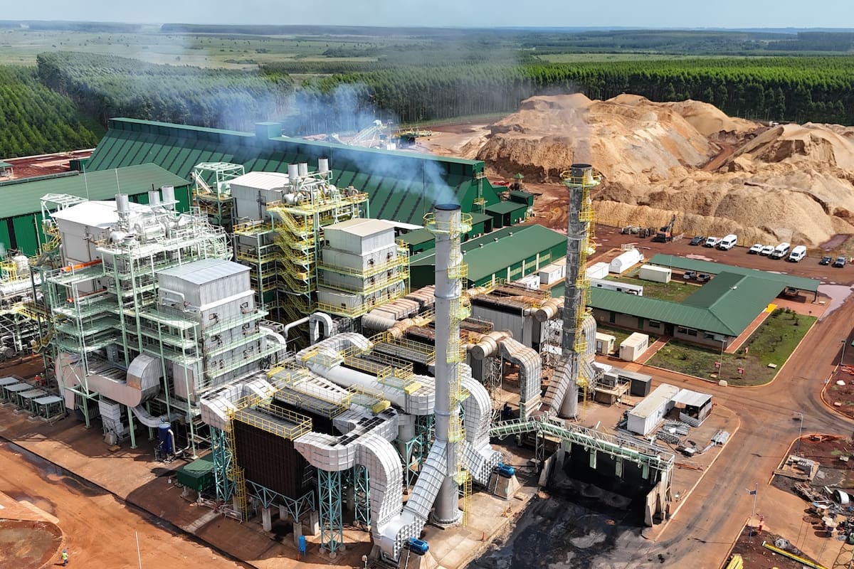 La planta de biomasa de San Alonso constituye el complejo generador por biomasa más grande de la Argentina; detrás de la planta se ve una montaña de aserrín, un desperdicio vital para producir energía