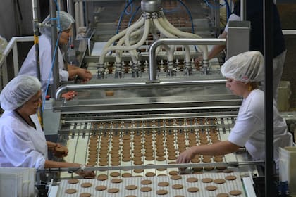 La planta de Fantoche en Villa Lugano.