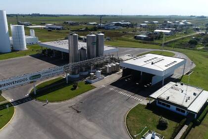 La planta de La Serenísima