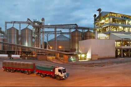 La planta en Frías, Santiago del Estero