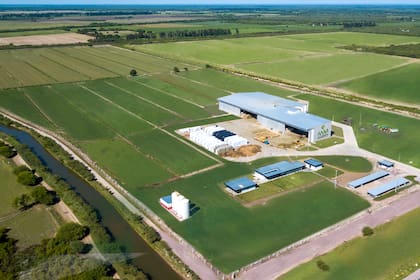 La planta está en Santiago del Estero, "capital nacional" de la alfalfa.