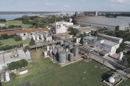 La planta que BASF tiene en General Lagos, en el cordón industrial del sur de Rosario
