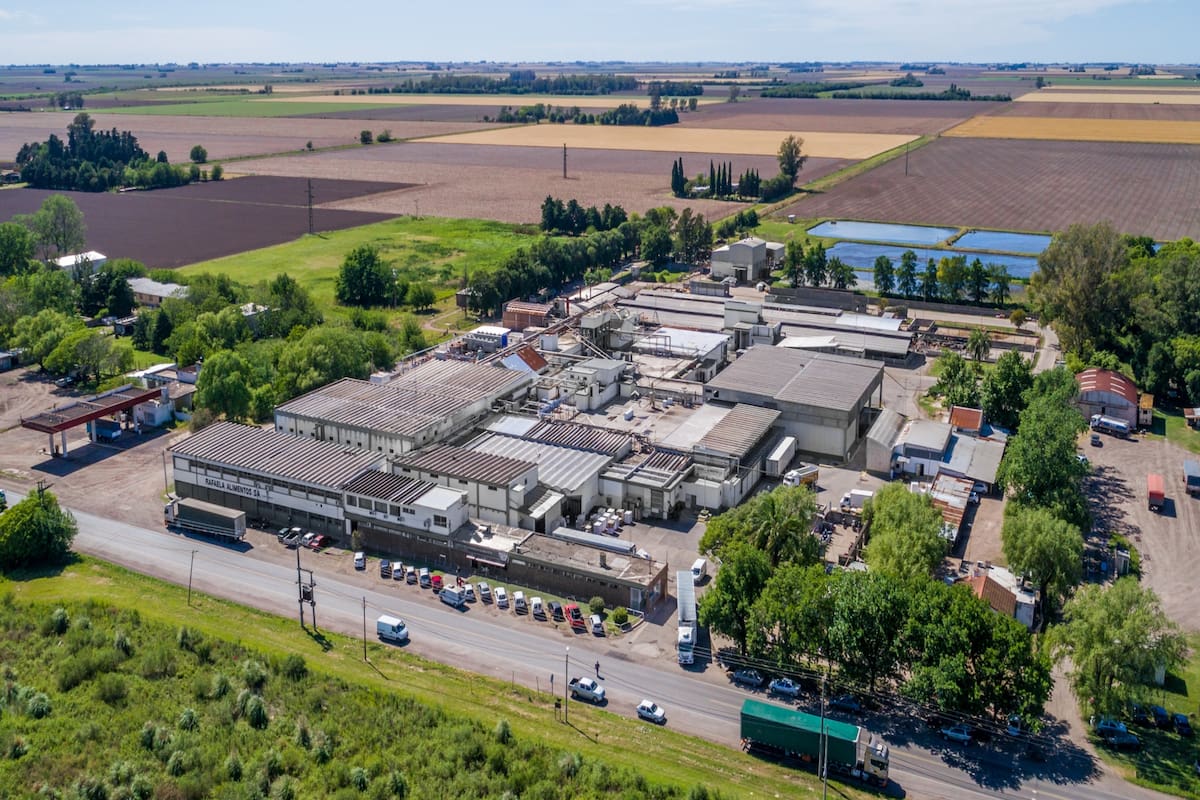 La planta tiene una capacidad de faena de 600 cabezas por día