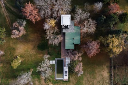 La planta toma una ubicación precisa en las coordenadas que propusieron los árboles existentes. Ninguno se eliminó.