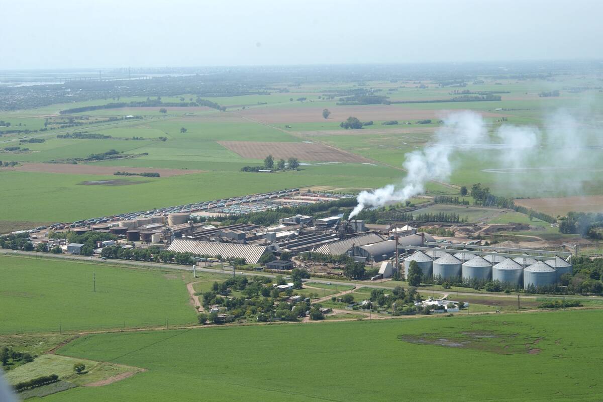 La planta ubicada en Ricardone, una de las que tiene la empresa
