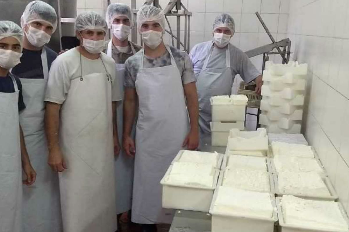 La planta volvió a producir quesos
