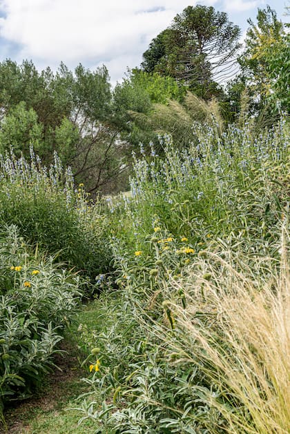La plantación del jardín se ideó para que desde la casa transparente y sus circulaciones se viera el movimiento y el paso de las estaciones