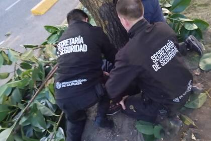 La Plata: se subió a un árbol en pleno centro de la ciudad y agredió a los peatones con ramas.