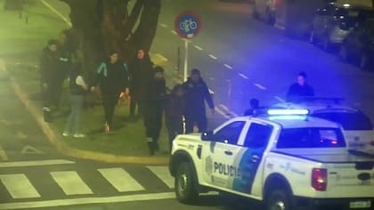 La Plata: se subió a un árbol en pleno centro de la ciudad y agredió a los peatones con ramas.