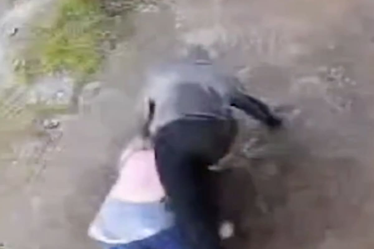 La Plata: un motochorro tiró al agua a una mujer para robarle las pertenencias