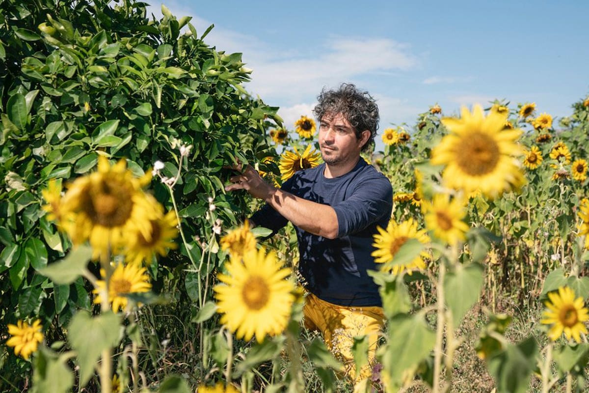 La plataforma Airbnb invierte en pueblos con una gran cantidad de casas vacías para convertirlos en destinos de experiencia