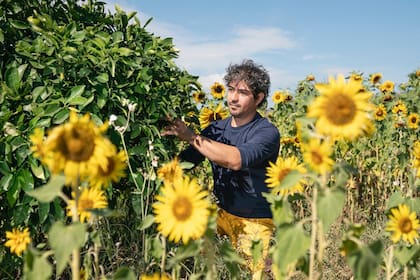 La plataforma Airbnb invierte en pueblos con una gran cantidad de casas vacías para convertirlos en destinos de experiencia
