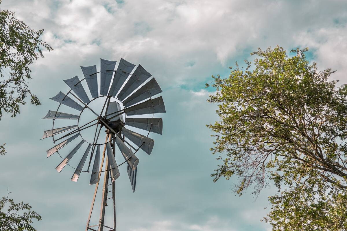 La plataforma EDRA, desarrollada en el país, permite conectar a empresas en todo el mundo vinculadas a la sustentabilidad con productores agrícolas para implementar estas prácticas