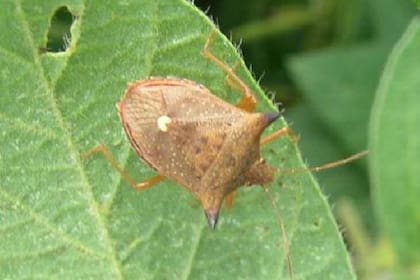 La plataforma se nutre de los informes de los usuarios