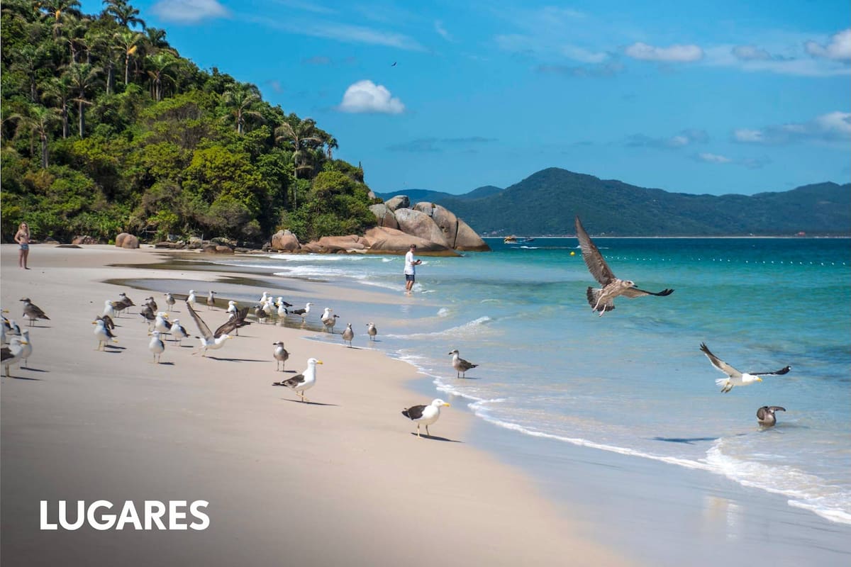 Praia do Rosa está contenida por dos morros.