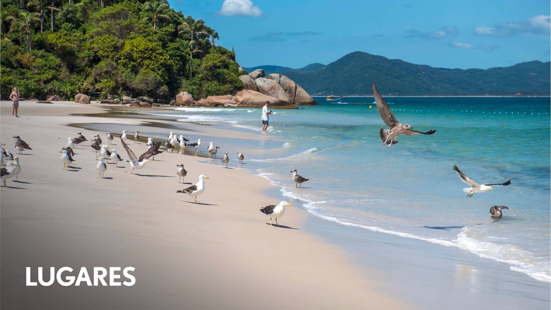 Praia do Rosa está contenida por dos morros.