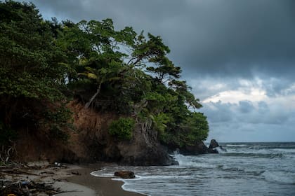 La playa de Cumaná, un tranquilo pueblo en la costa norte de Trinidad y Tobago donde recientemente aparecieron dos cuerpos en la orilla, el 22 de octubre de 2025.