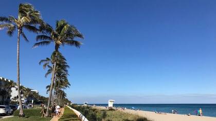 La playa de Palm Beach tiene unos 5 kilómetros de extensión