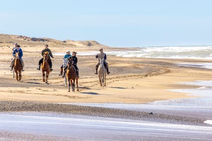 La playa es escenario ideal para los caballos árabes.
