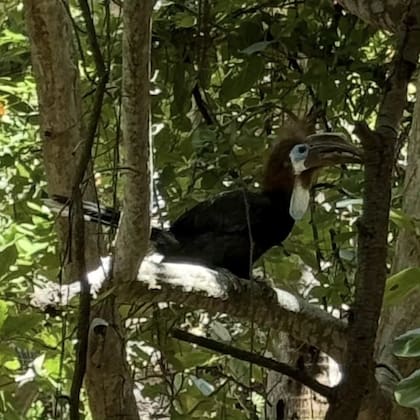 La playa se encuentra ubicada en el Parque Estatal, el cual es un hogar de una variedad de especies de flora y fauna