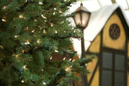 La Plaza de la Alcaldía será el punto de encuentro del evento