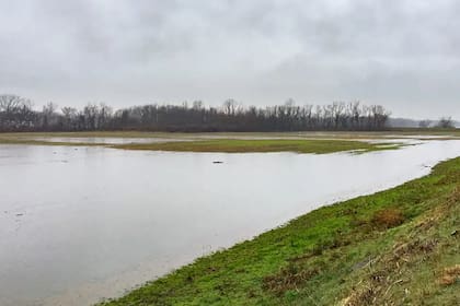 La Plaza Norte de Cahokia, en la actualidad