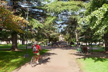 La Plaza San Martín está en el centro de Coronel Suárez.