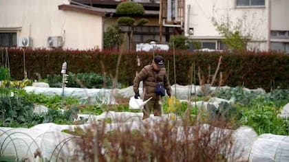 La población local es muy reacia a los extranjeros, aunque sean residentes de larga data en el país. Esto es una de las cosas que está haciendo que los pueblos pierdan poco a poco gente.
