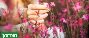 El momento exacto para hacer que tu jardín tenga más flores durante todo el verano
