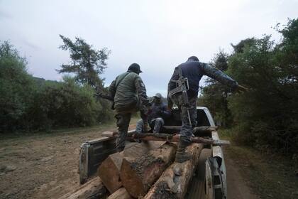 La policía comunal forestal recorre decomisa troncos de pino talados ilegalmente, en las afueras del pueblo indígena de Cherán, en el estado de Michoacán, México, el jueves 20 de enero de 2022. (AP Foto/Fernando Llano)