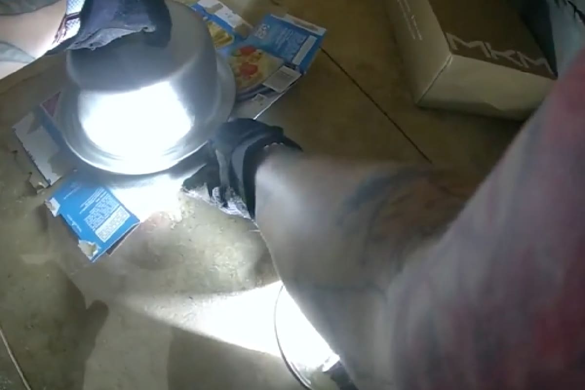 La policía de Florida llegó a una casa tras recibir la llamada al 911